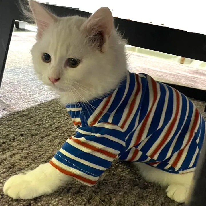 A A Pets' Soft T-Shirt With Sleeves For Pets