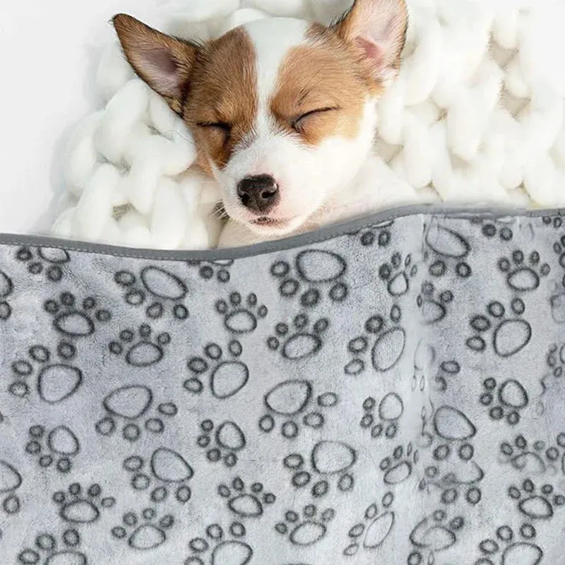 Adorable Pet Blanket in Soft Coral Fleece with Cute Cartoon Design