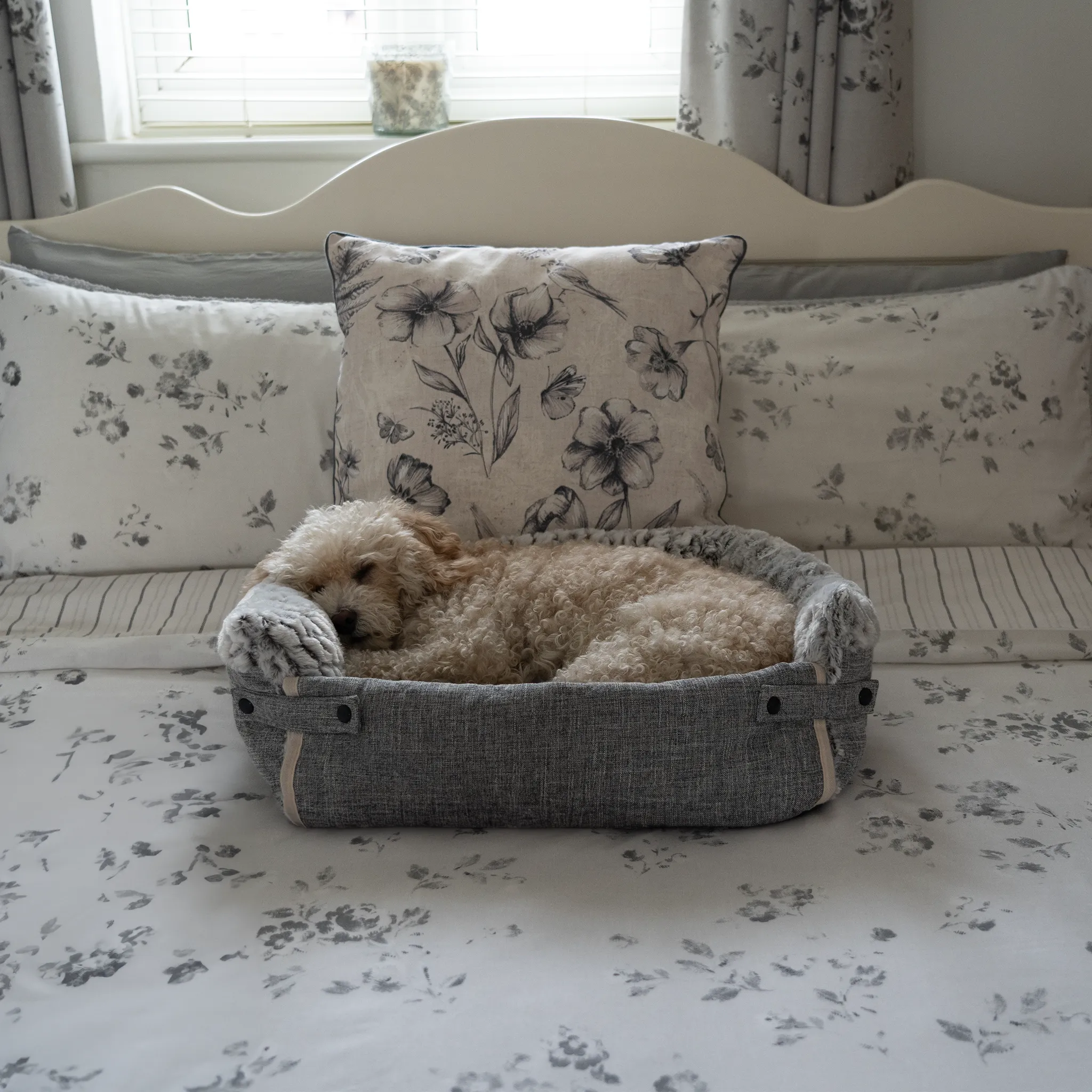 Alfie Multi-way Sofa Dog Bed S/L