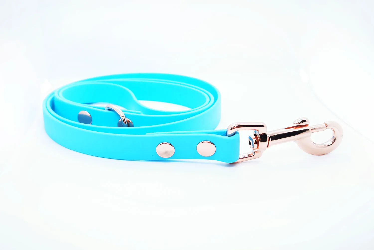 Baby Blue Biothane Dog Collar