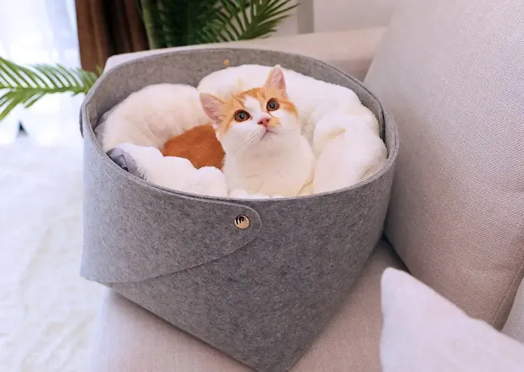 Bed Cat Bed: Cozy Comfort All Year Round