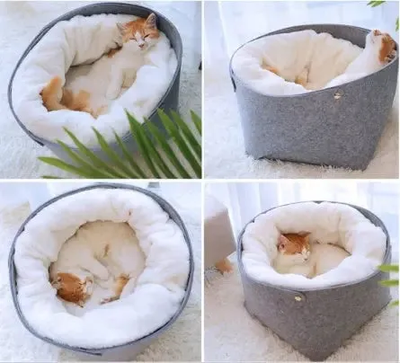 Bed Cat Bed: Cozy Comfort All Year Round