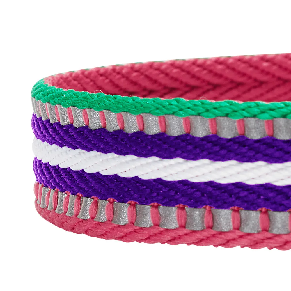 Blueberry Pet 3M Reflective Stripe Adjustable Dog Collar, Pink Emerald and Orchid