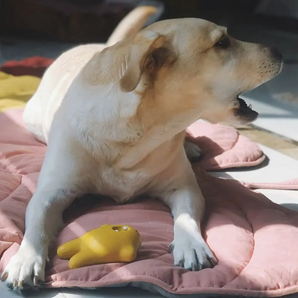 Breathable Leaf-Shaped Pet Mat - Washable and Eco-Friendly for Dogs and Cats