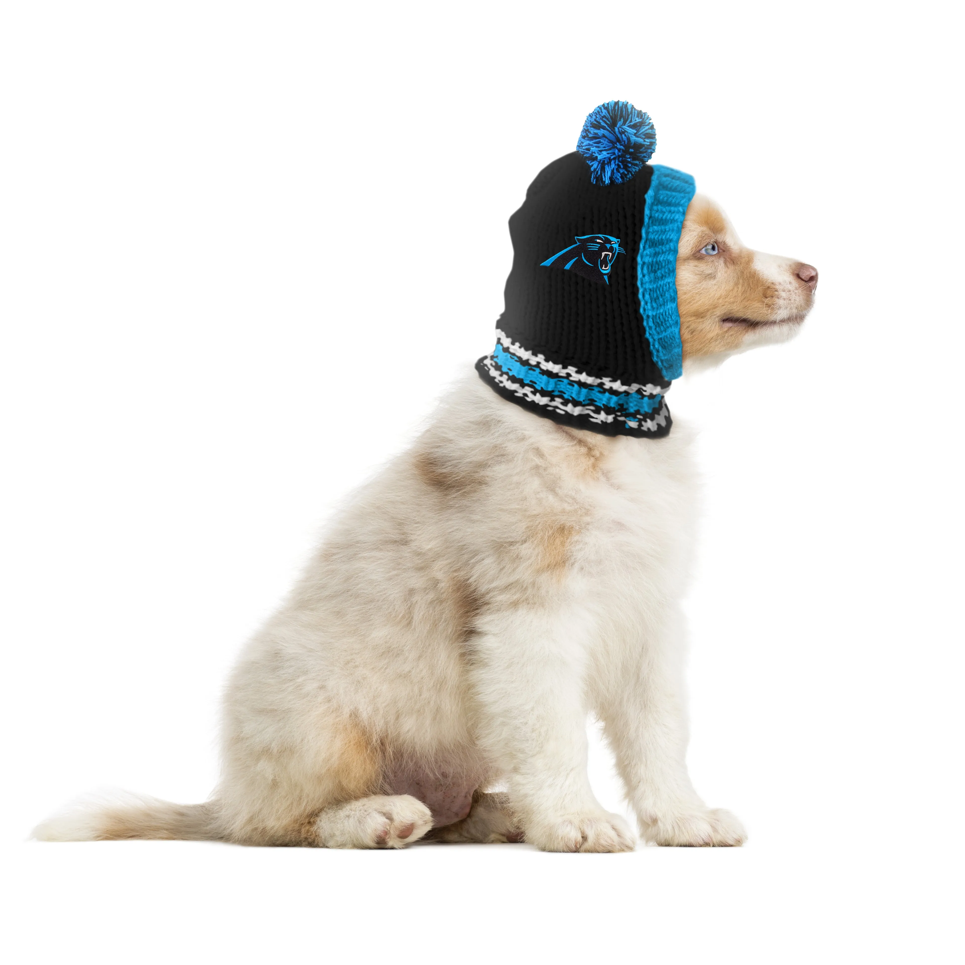 Carolina Panthers Team Pet Knit Hat