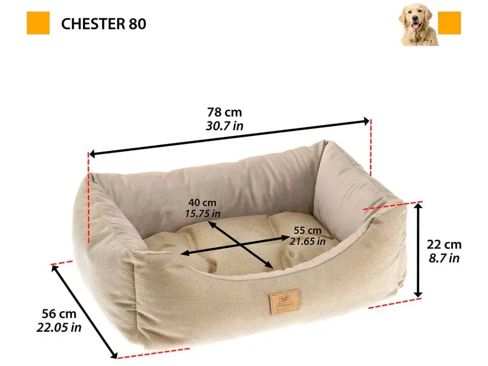 Chester 80 Cuccia Blu