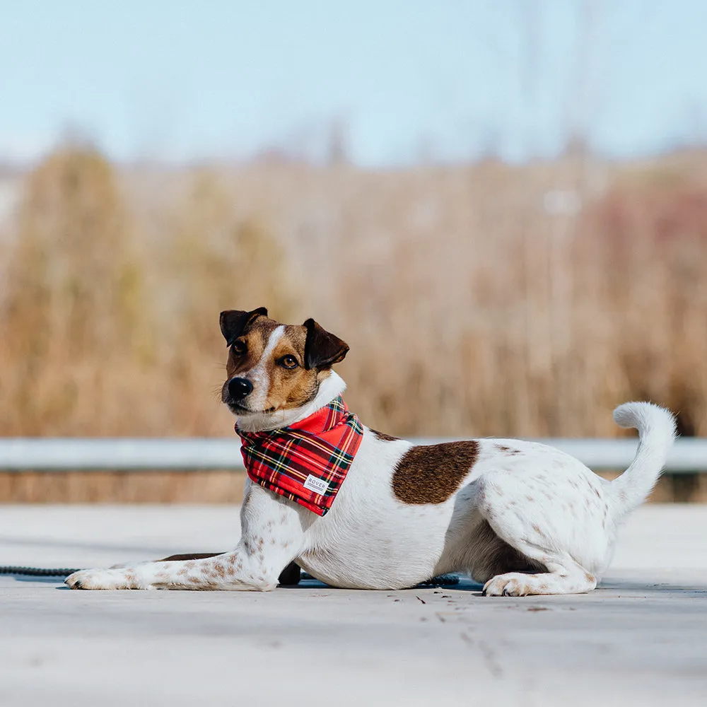 cider plaid dog bandana