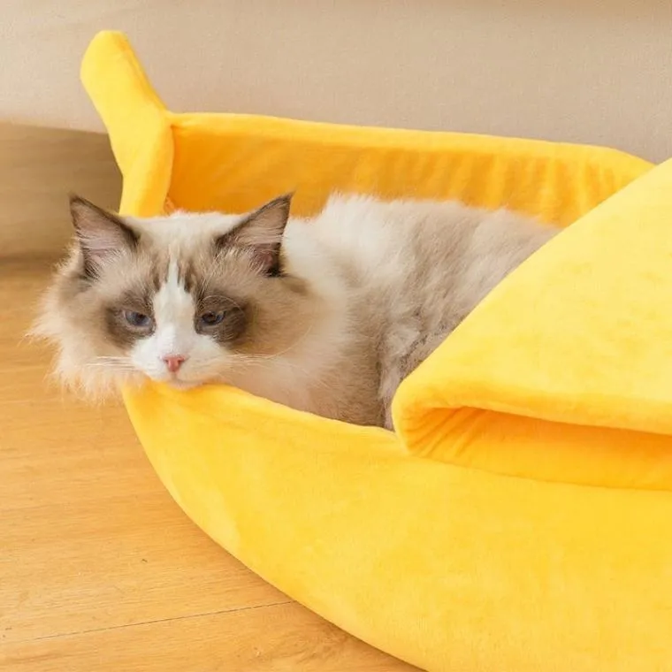 Cozy & Fun: Novelty Banana Cat Bed!