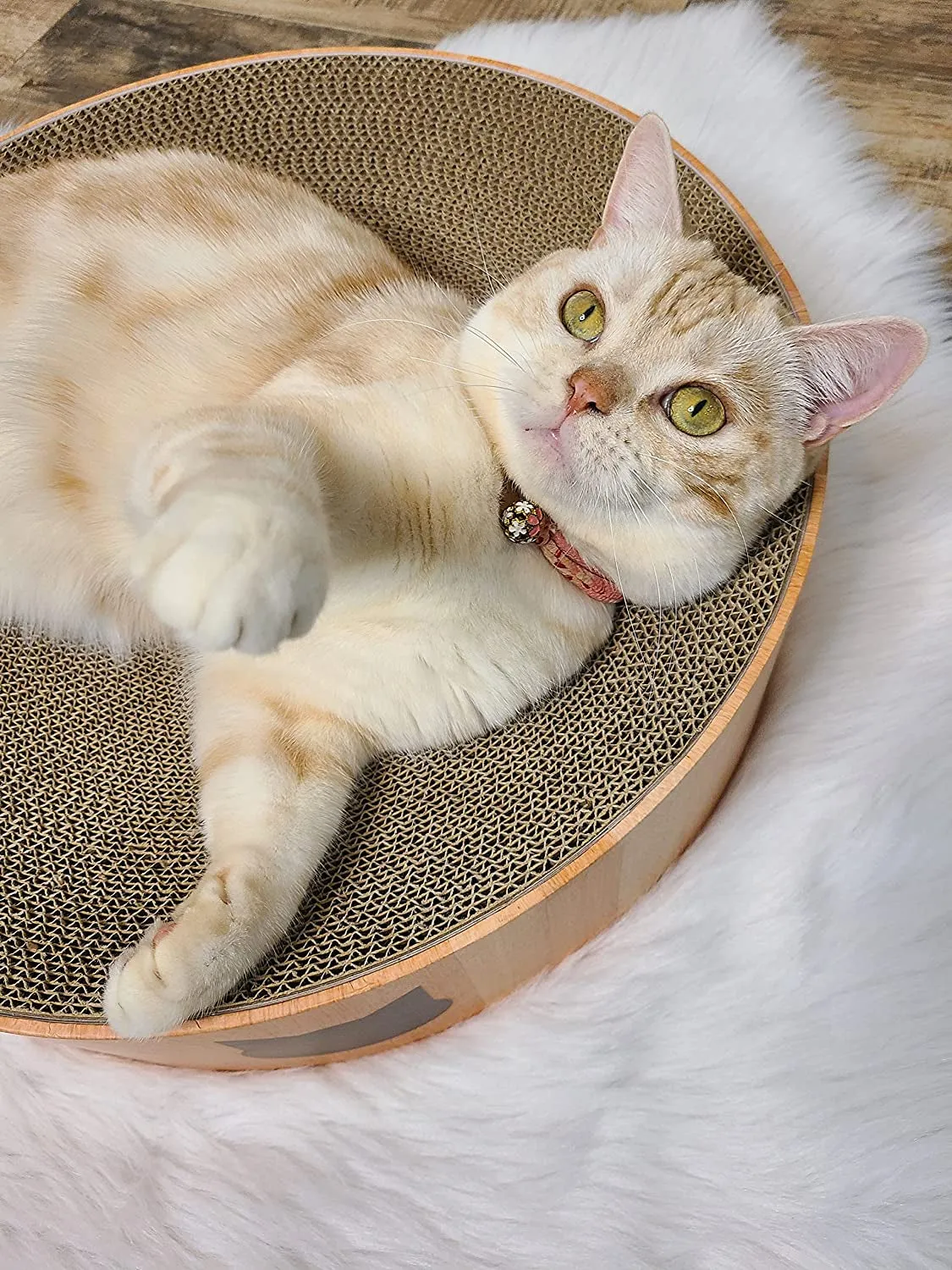 Cozy Cat Scratcher Bowl (Regular, A.Bowl(Oak))