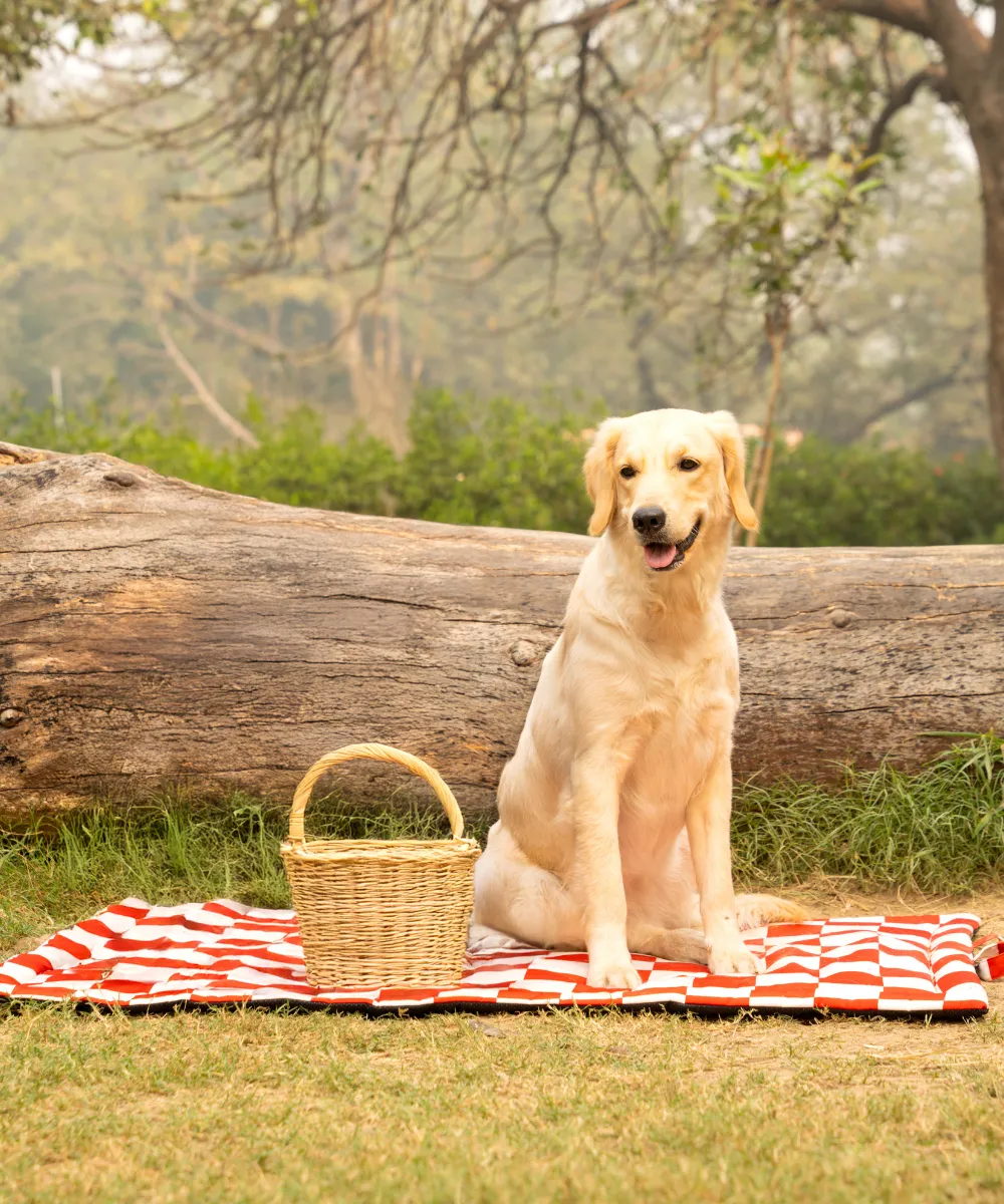 Cozy Checks Pet Mat