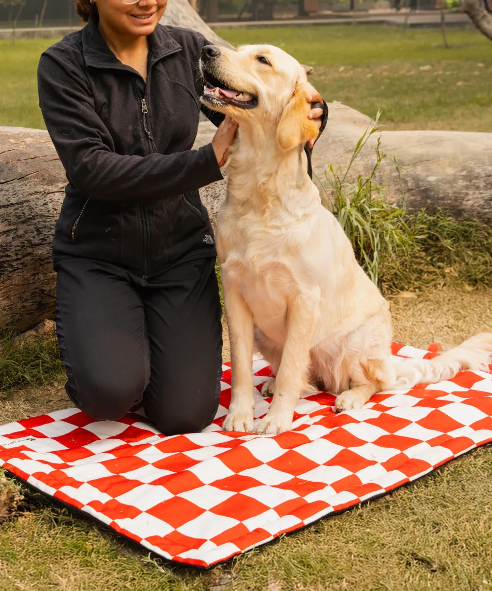 Cozy Checks Pet Mat