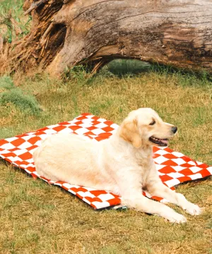 Cozy Checks Pet Mat