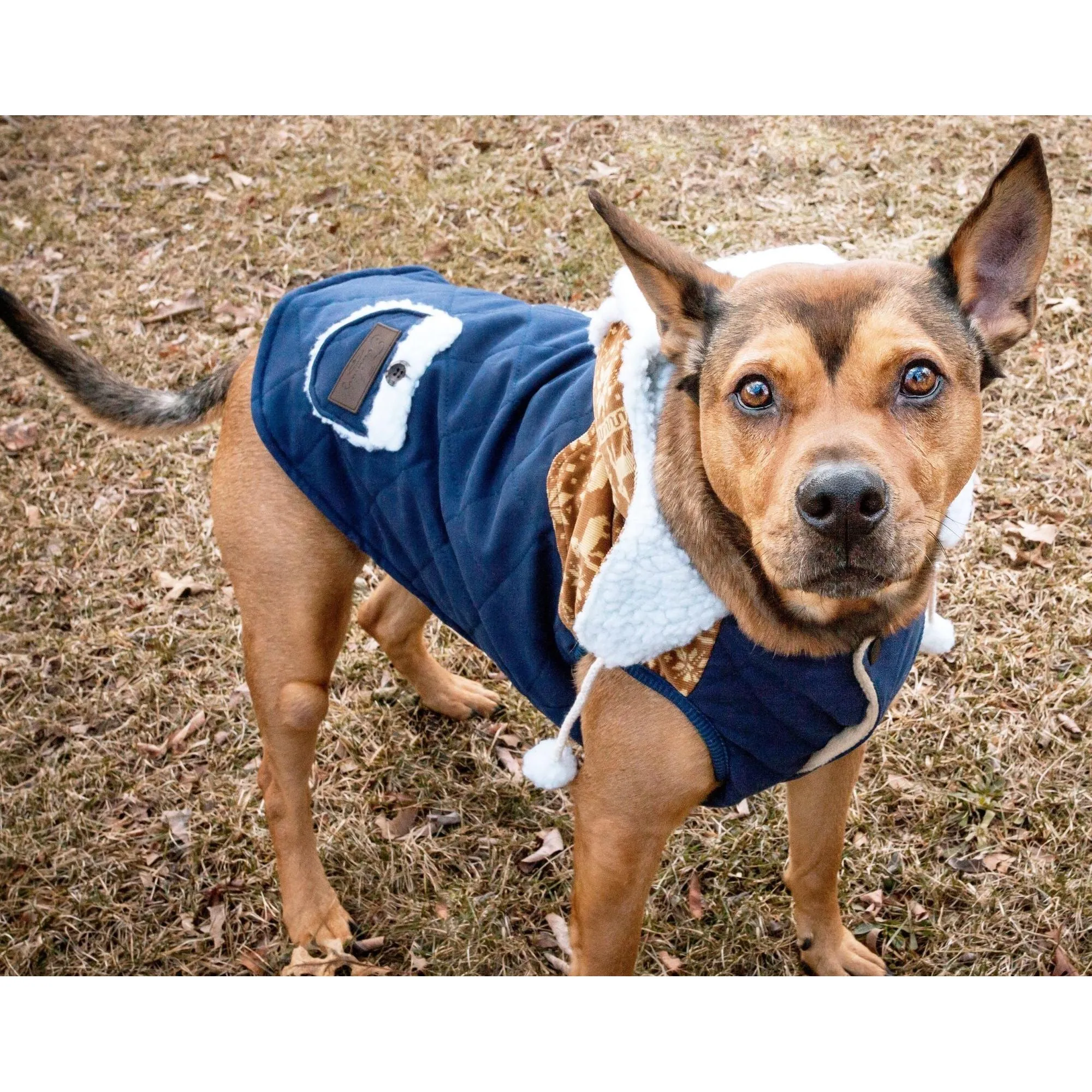 Cozy holiday pet sweater Fashion