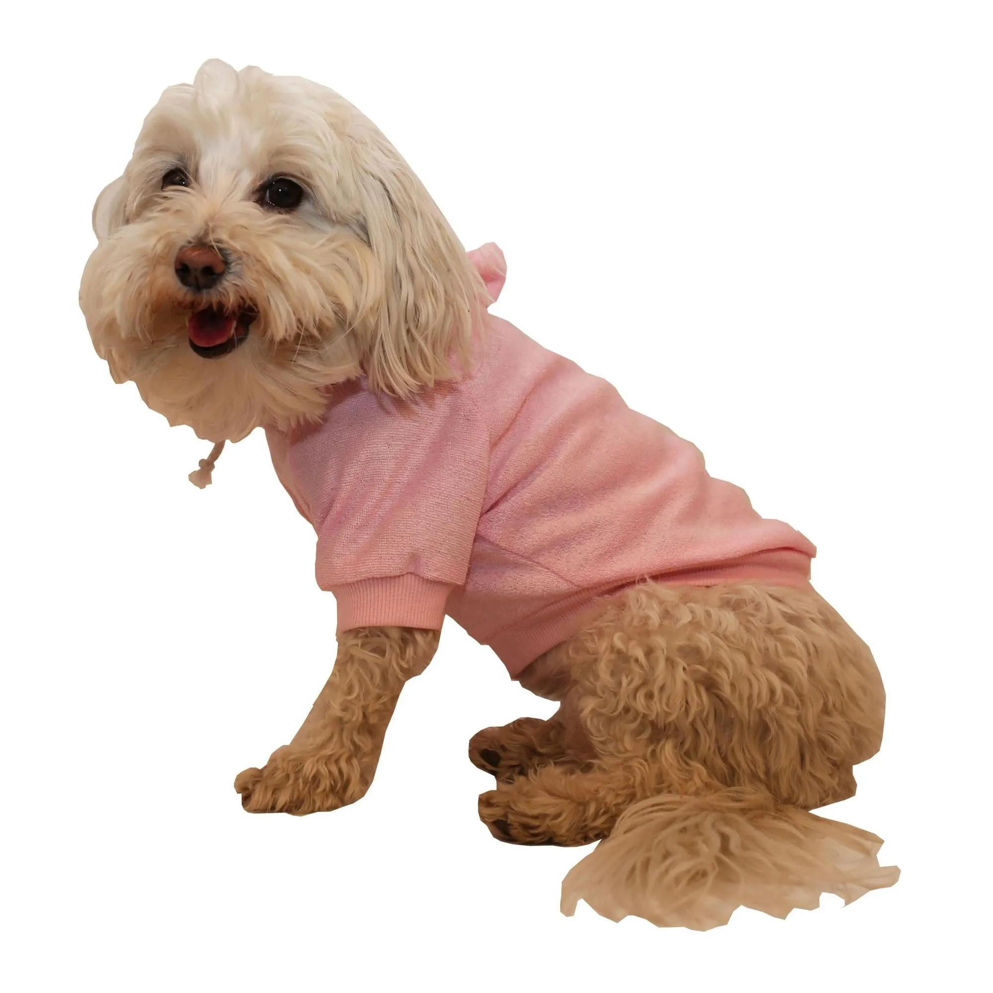 Cozy Pet Hoodie