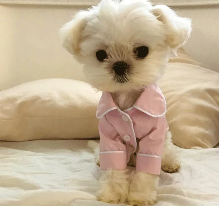 Cute pet pajamas Warm Pet Clothing soft pet Clothes Dog coat Cat Coat Cotton pet Jacket Pet Outfit, lioness-love