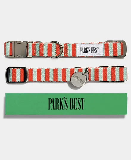 Dog Collar, Stripe