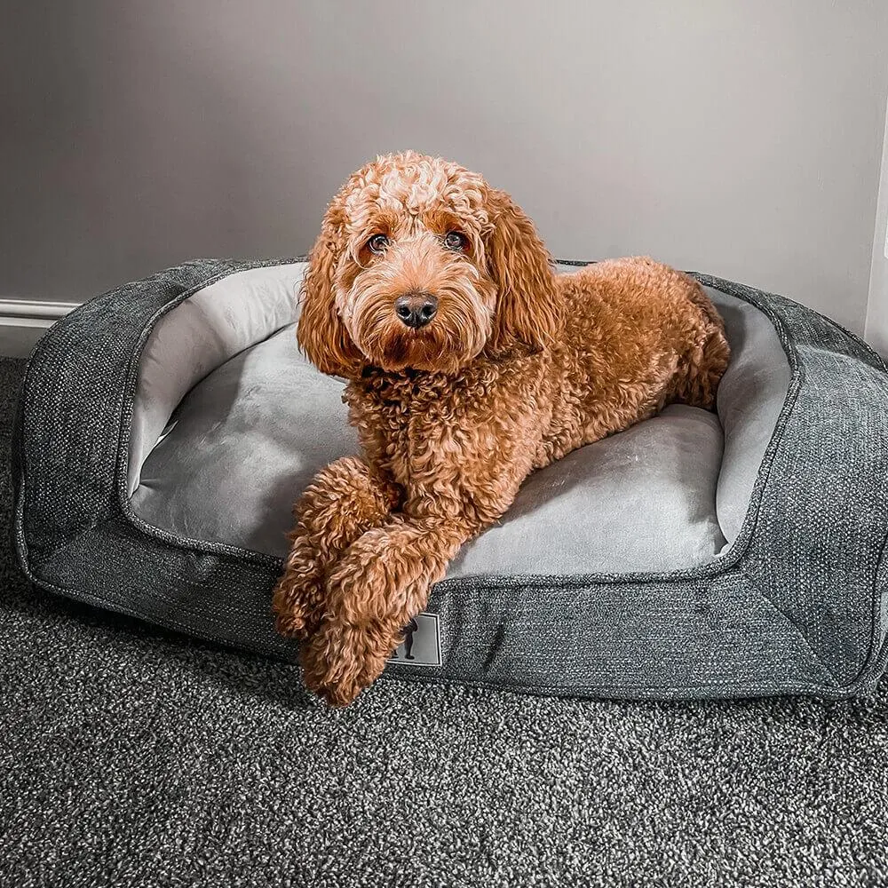 Duke Luxury High Density Foam Sofa Dog Bed Grey Large