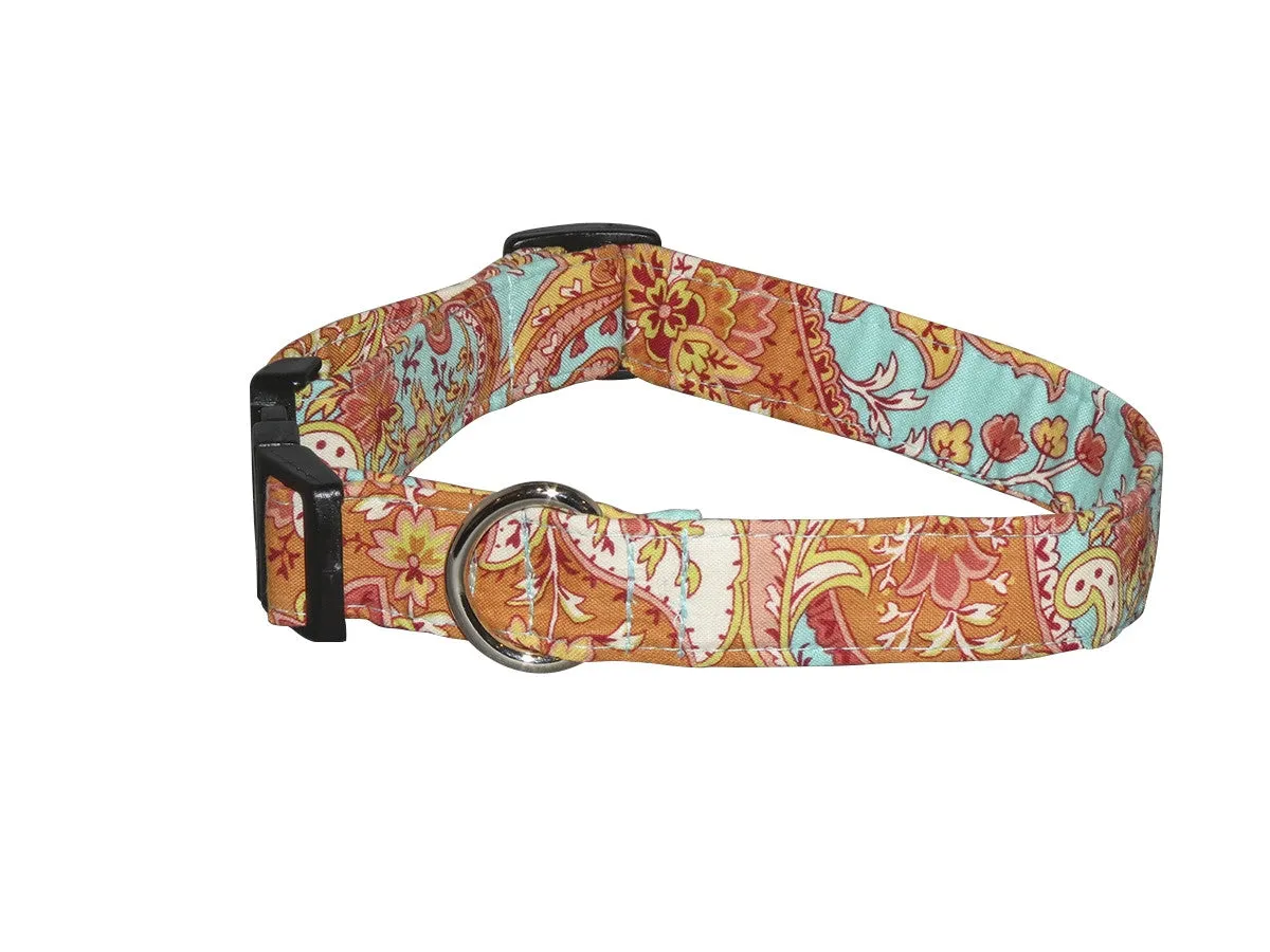 Elmo's Closet Ana Dog Collar