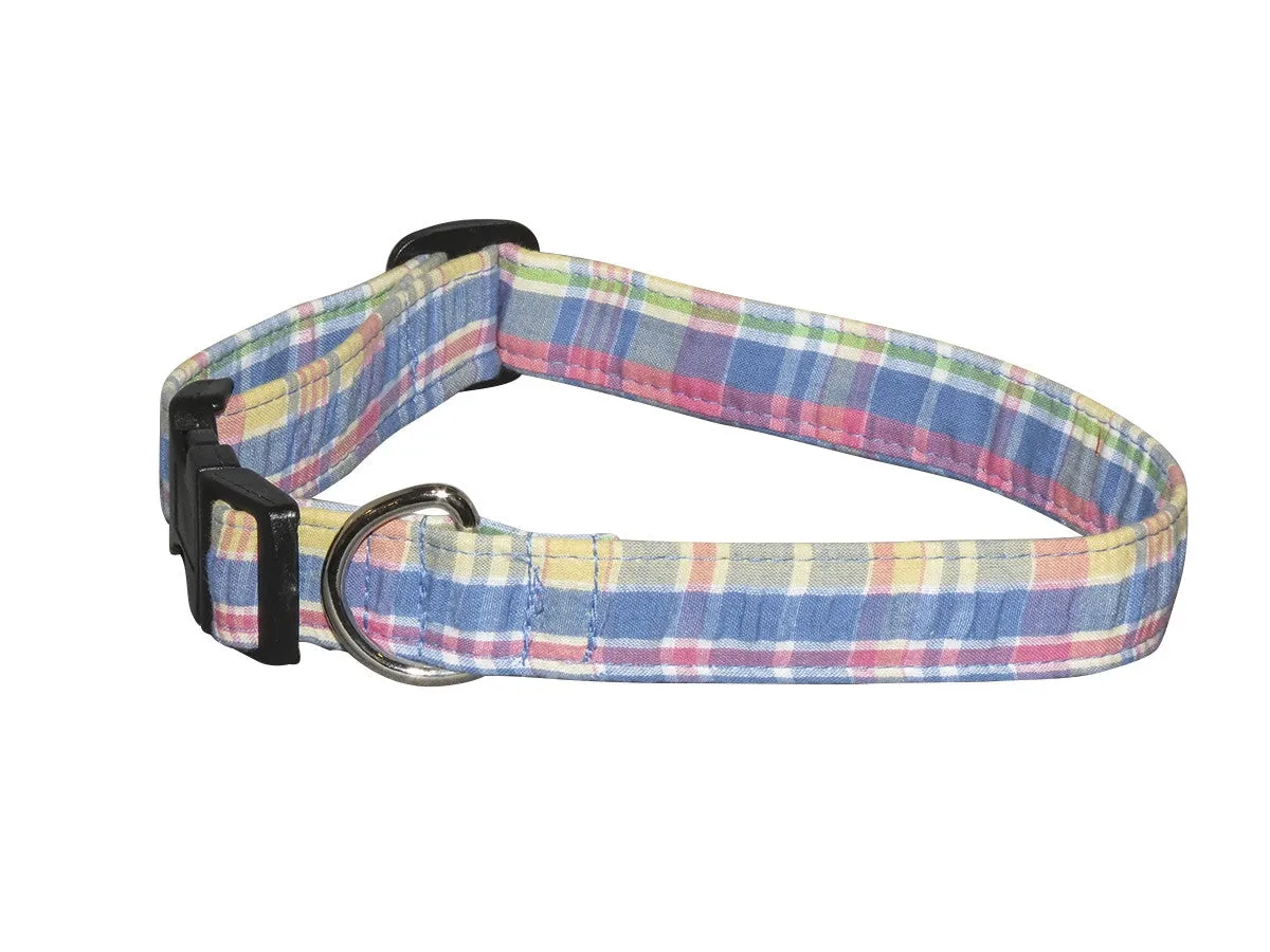 Elmo's Closet Pastel Dog Collar