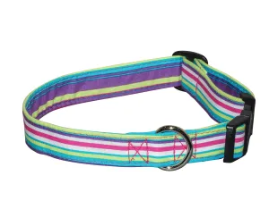 Elmo's Closet Purple, Teal & Green Stripe Dog Collar