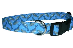 Elmo's Closet Whales Dog Collar