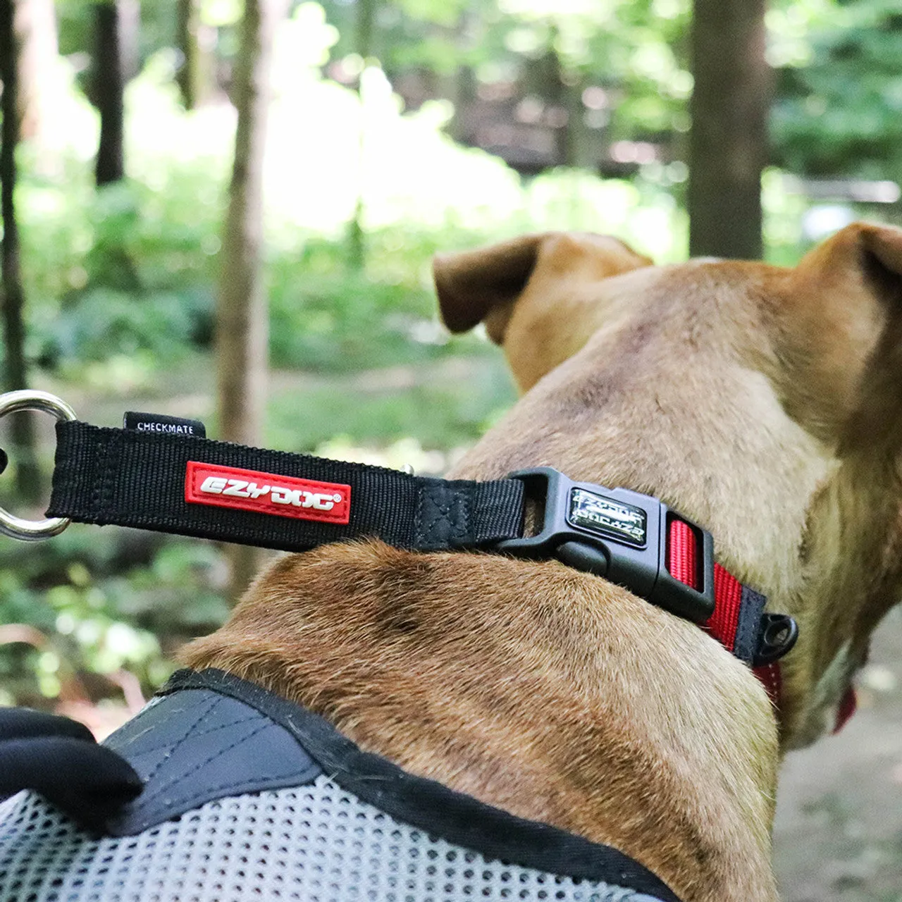 EzyDog - Checkmate Training Collar (For Dogs)