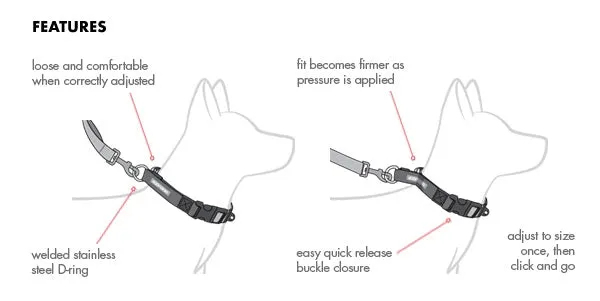 EzyDog - Checkmate Training Collar (For Dogs)