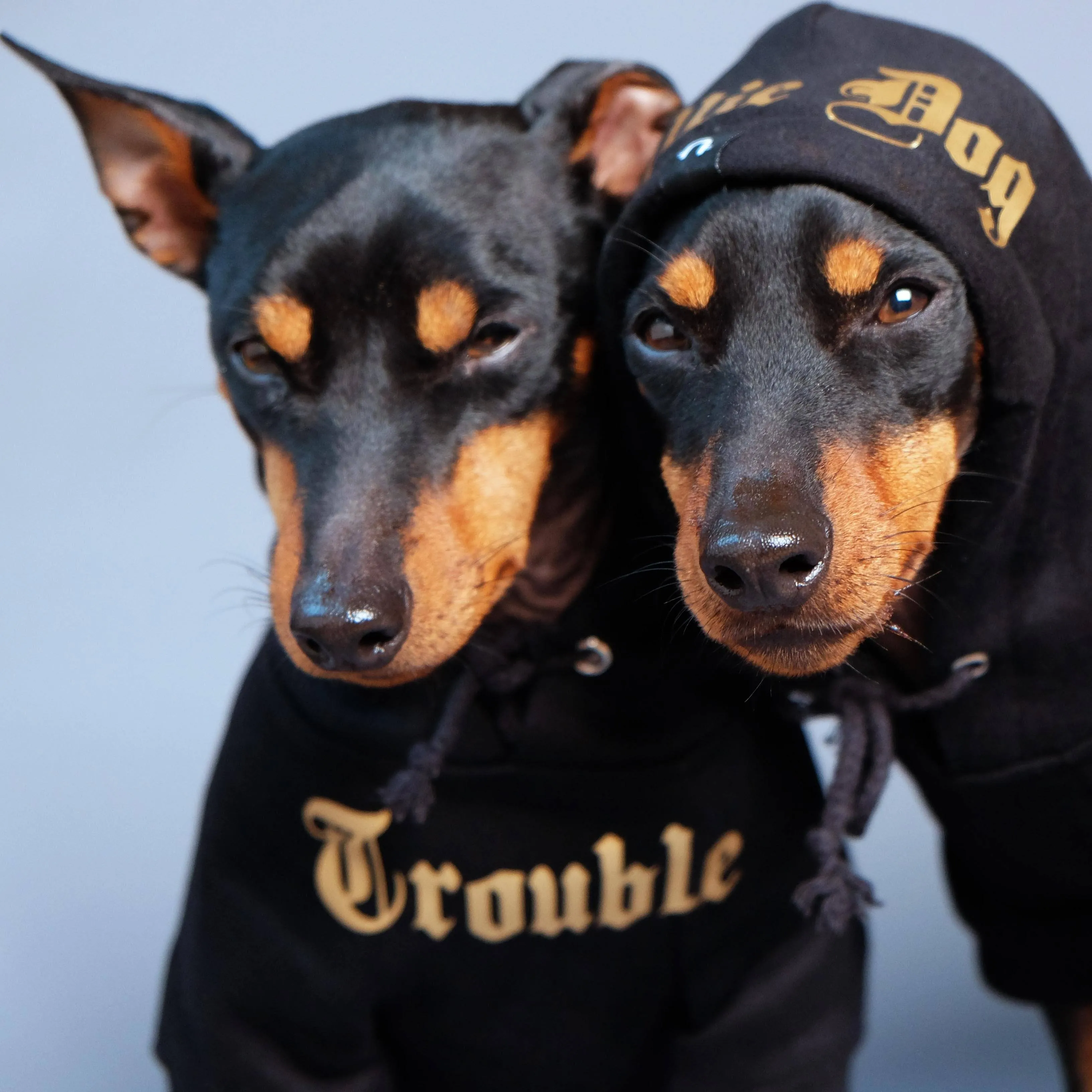 Gangsta Yapper Dog Hoodie - Personalised