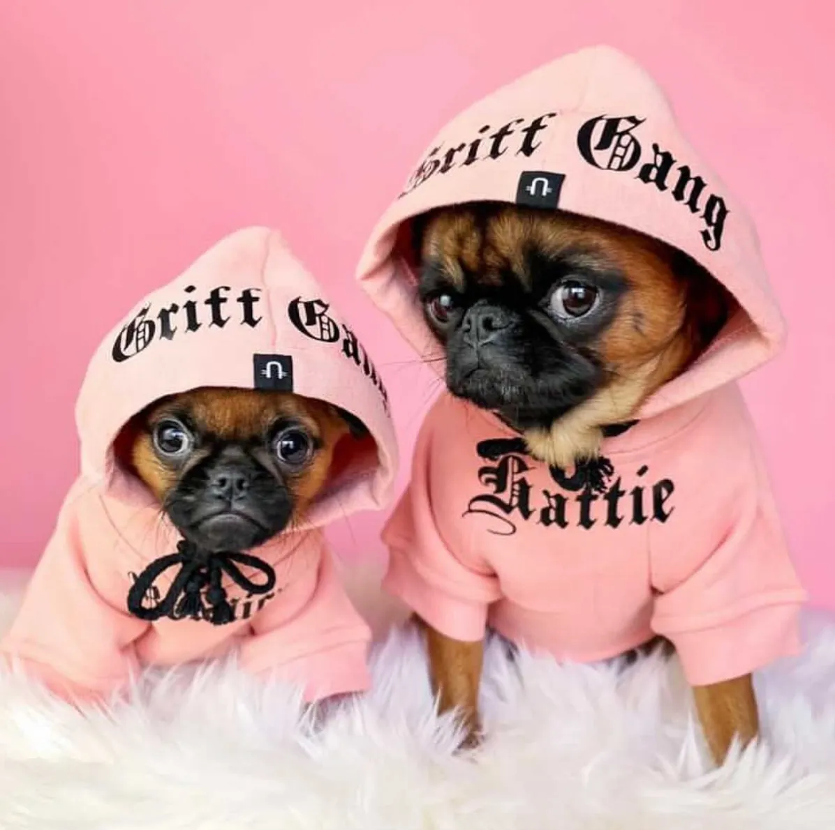 Gangsta Yapper Dog Hoodie - Personalised