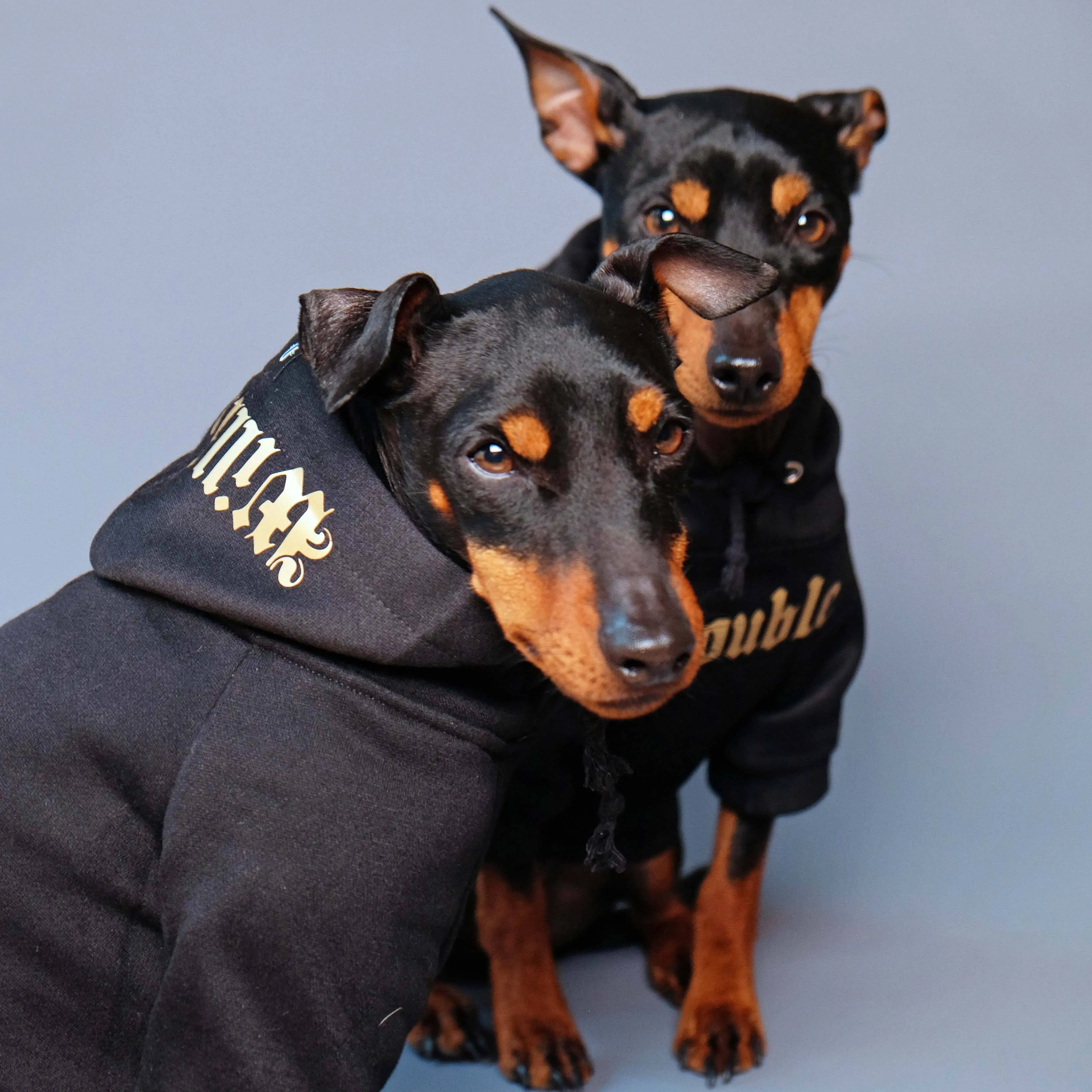 Gangsta Yapper Dog Hoodie - Personalised