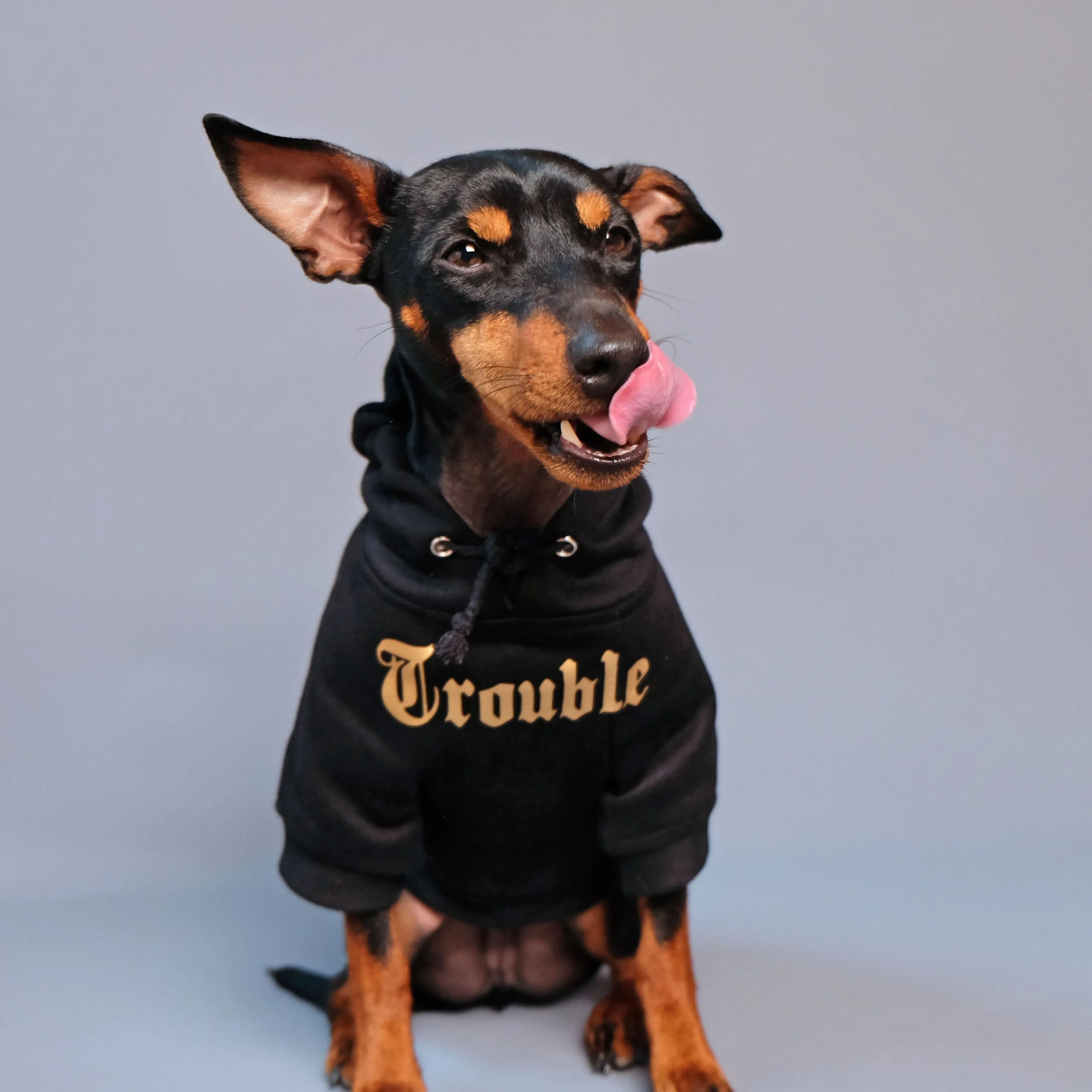 Gangsta Yapper Dog Hoodie - Personalised