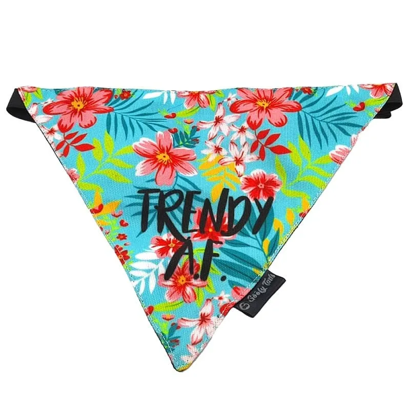 Goofy Tails Trendy Tropical Bandana for Dogs by Design Chefz (Multicolor)