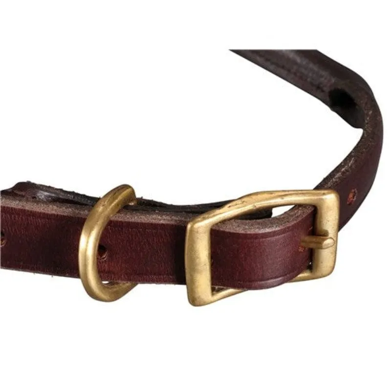 Jeremy & Lord Dog Collar Rolled