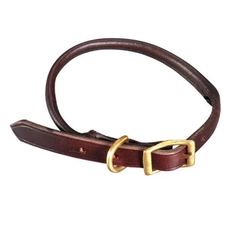 Jeremy & Lord Dog Collar Rolled