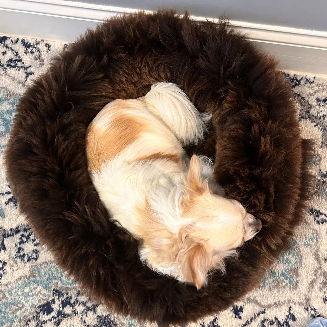 MEDIUM Ivory Sheepskin Pet Bed