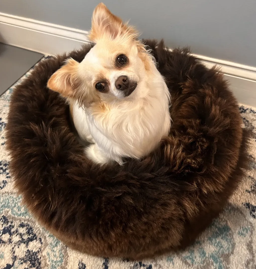 MEDIUM Ivory Sheepskin Pet Bed