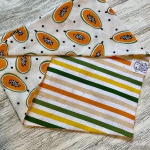 Papayas & Stripes | Reversible Dog Bandana