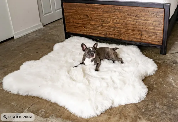 Paw Brands PupRug™ Animal Print Memory Foam Dog Bed