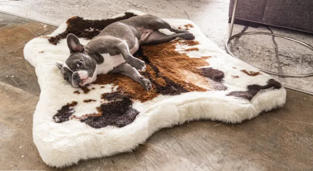 Paw Brands PupRug™ Animal Print Memory Foam Dog Bed