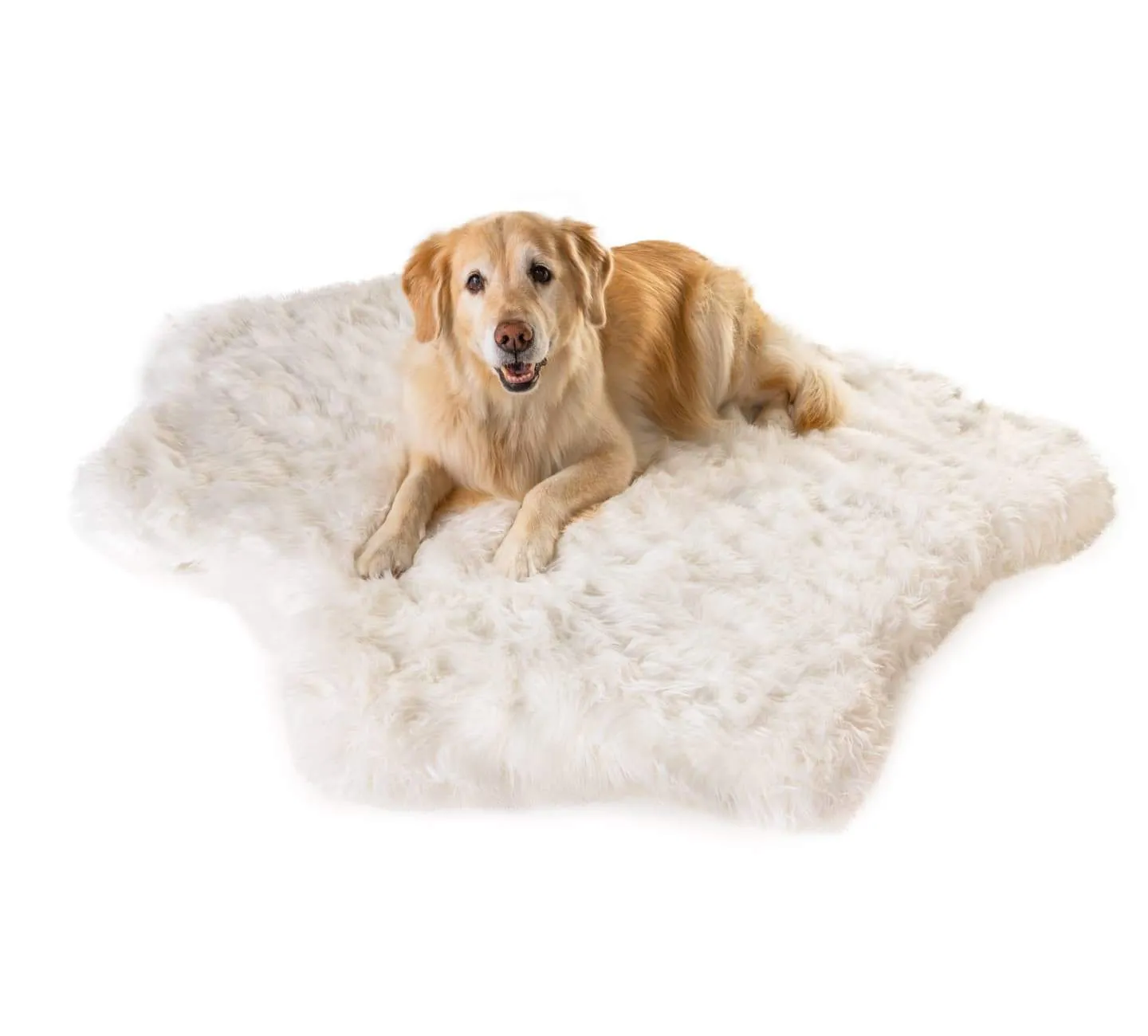 Paw Brands PupRug™ Animal Print Memory Foam Dog Bed