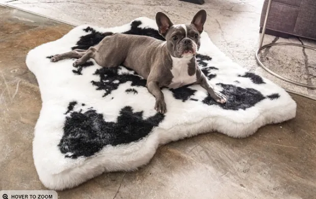 Paw Brands PupRug™ Animal Print Memory Foam Dog Bed