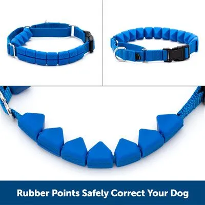 PetSafe® Soft Point Training Collar