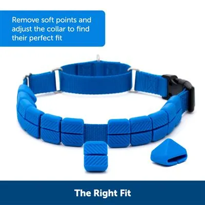 PetSafe® Soft Point Training Collar