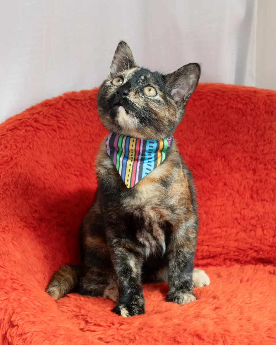 Rainbow Stripe Cat Bandana