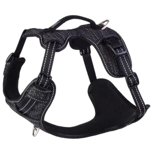 Rogz Specialty Explore Dog Harness Black Large^^^