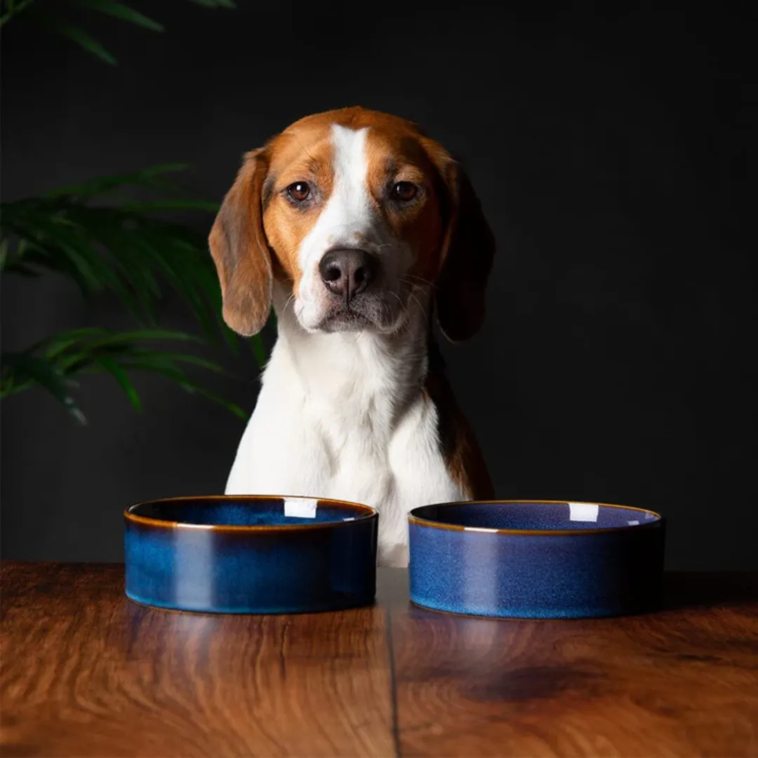 Scruffs Reactive Glaze Pet Bowl - Midnight Blue