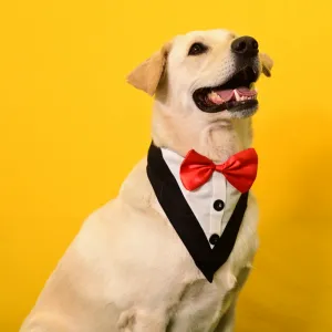 Skatrs Tuxedo Bandana for Dogs (Black/White)