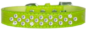 Sprinkles Clear Jewel Croc Dog Collar Lime Green Size 12