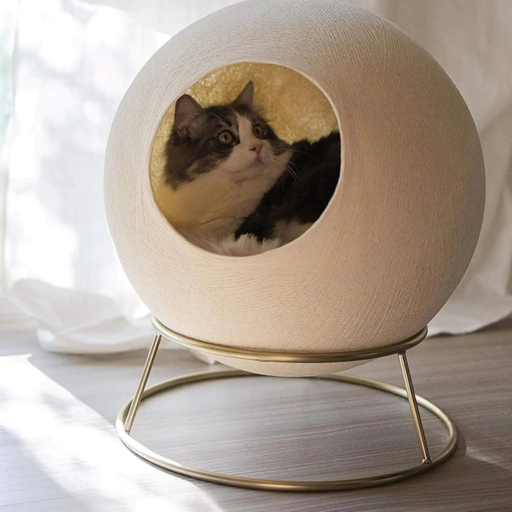 Stellar Cat Bed