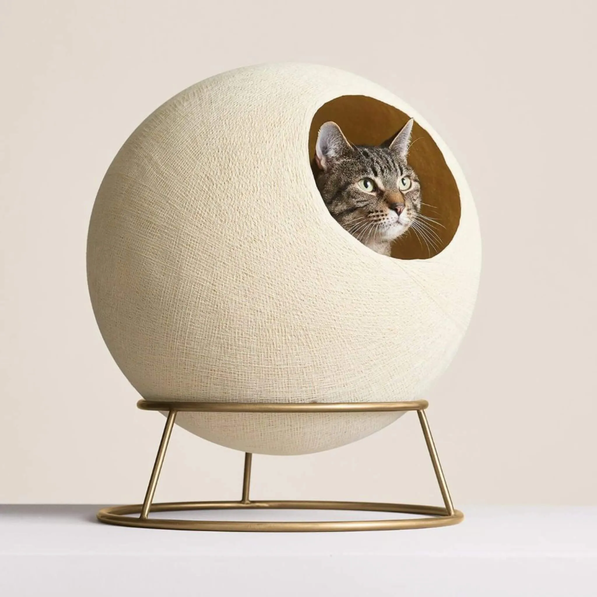 Stellar Cat Bed